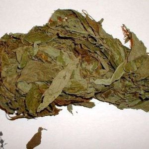 Salvia Divinorum – Dried leaves – 10 grams
