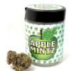 Apple Mintz