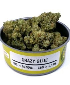 Crazy Glue strain